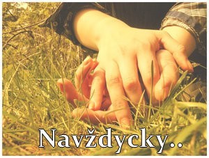 Navdy